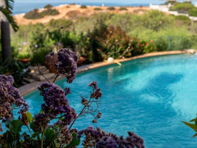 Villa Ellena - Outdoor photo 14