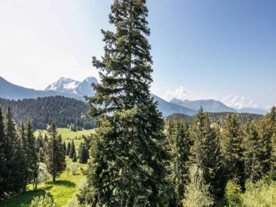 Apartment Alpine Hideaway mit Balkon - Environment photo 27