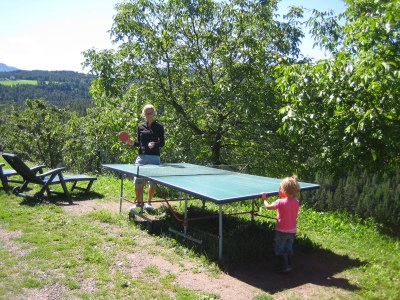 Holiday apartment Rosengarten- Unterkoflhof - Outdoor photo 4