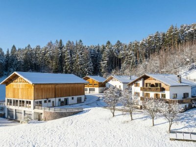 Holiday apartment Rosengarten- Unterkoflhof - Outdoor photo 8