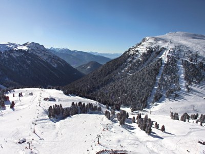 Holiday apartment Rosengarten- Unterkoflhof - Environment photo 24