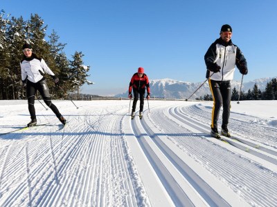 Holiday apartment Rosengarten- Unterkoflhof - Environment photo 25