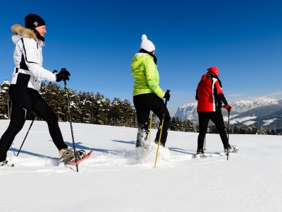 Holiday apartment Rosengarten- Unterkoflhof - Environment photo 26