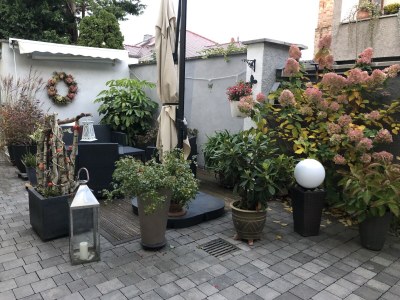 Holiday apartment Schiffbauer - Outdoor photo 5