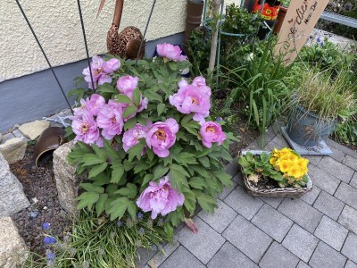 Holiday apartment Schiffbauer - Outdoor photo 9