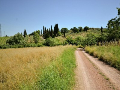 Holiday house Romantic Getaway with Views - Environment photo 30