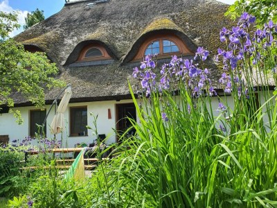 Apartment Retreat with Garden & Family Amenities - Outdoor photo 10