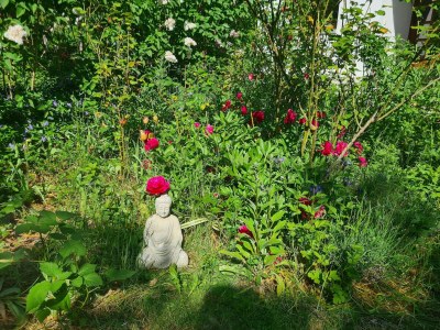 Apartment Retreat with Garden & Family Amenities - Outdoor photo 14