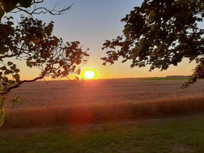 Apartment Retreat with Garden & Family Amenities - Environment photo 32