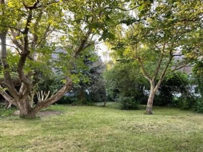 Apartment Retreat with Garden & Family Amenities - Environment photo 33