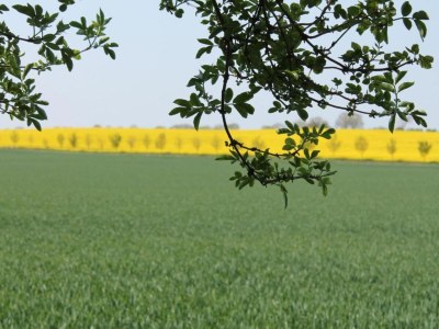 Apartment Retreat with Garden & Family Amenities - Environment photo 34