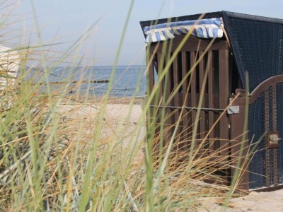 Apartment Retreat with Garden & Family Amenities - Environment photo 37