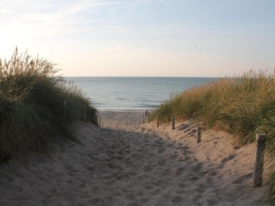 Apartment Retreat with Garden & Family Amenities - Environment photo 38