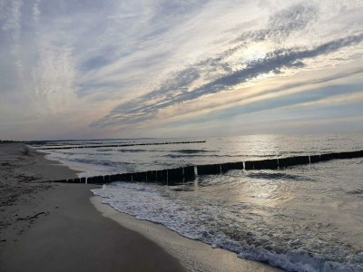 Apartment Retreat with Garden & Family Amenities - Environment photo 39