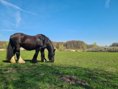 Apartment Krusenhagen Apartment mit Garten - Outdoor photo 4