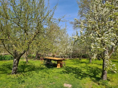 Apartment Krusenhagen Apartment mit Garten - Outdoor photo 9