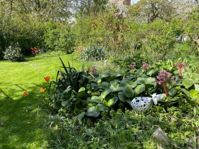 Apartment Krusenhagen Apartment mit Garten - Outdoor photo 14