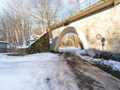 Holiday house Forest Villa with Sauna - Environment photo 33