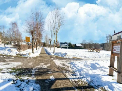 Holiday house Forest Villa with Sauna - Environment photo 34