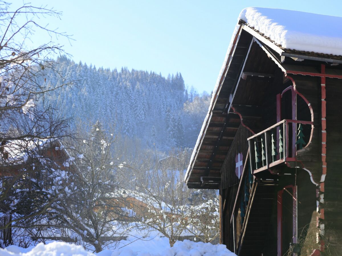 Apartment Apartment in Morillon near Ski Slopes - Outdoor photo 4