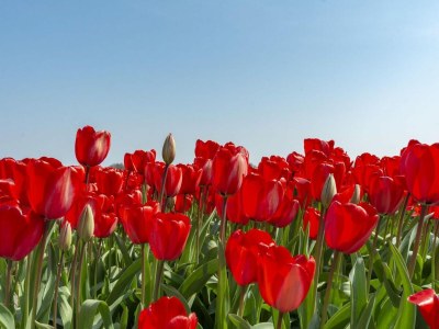 Bungalow Modern home with garden - Outdoor photo 19