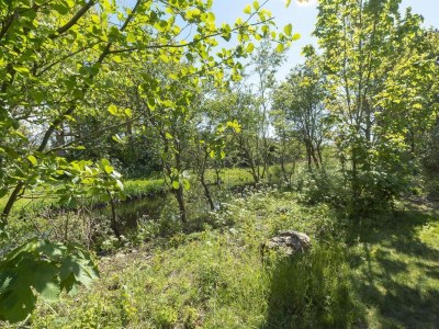 Bungalow Modern home with garden - Outdoor photo 26