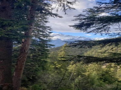 Apartment Apartment in France with Pool & Mountain Views - Environment photo 16