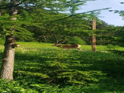 Apartment Apartment in France with Pool & Mountain Views - Environment photo 29