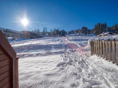 Apartment Apartment in Morillon at Ski Slope - Environment photo 12