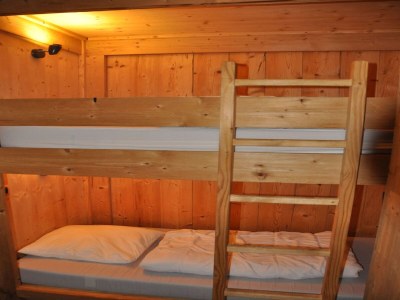 Apartment Alpine Comfort for 8 guests - Features photo 15