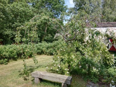 Bungalow Heureka - Pelikaanweg 53 - Outdoor photo 9