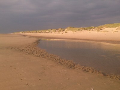 Bungalow Heureka - Pelikaanweg 53 - Environment photo 24