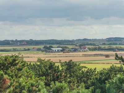 Chalet Eemnest - Koornaar 128 - Environment photo 12