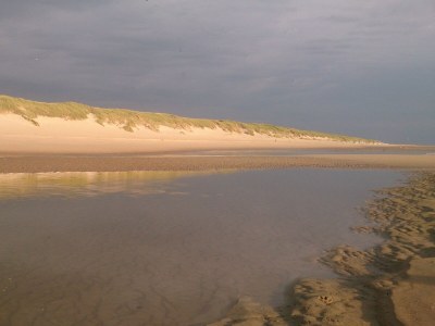 Chalet Eemnest - Koornaar 128 - Environment photo 17