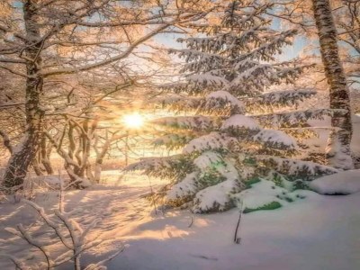 Apartment Apartment in Morillon near Ski Resort - Environment photo 14