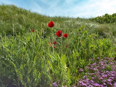 Apartment Cosy apartment with balcony - Outdoor photo 15