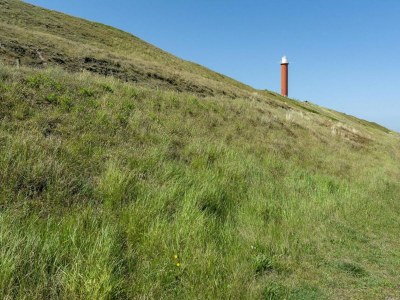 Apartment Beachside Apartment at foot of dunes - Outdoor photo 11