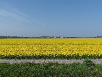 Villa Lovely villa with spacious garden - Outdoor photo 28