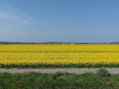 Villa Lovely villa with spacious garden - Outdoor photo 40