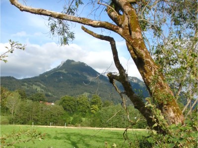 Holiday house Alt - Environment photo 27