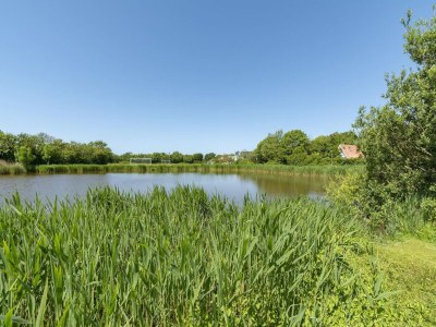 Holiday house Radiant seaside holiday home - Outdoor photo 18