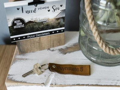 Apartment Seaside Double Duyn Suites - Features photo 11