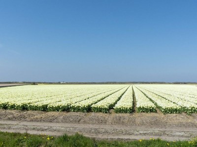 Holiday house Alluring home with garden - Outdoor photo 25