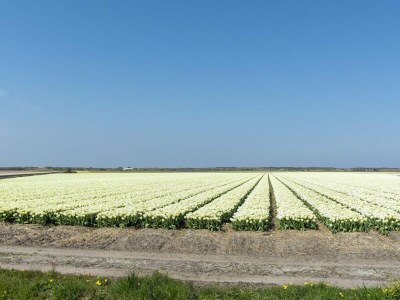 Holiday house Alluring home with garden - Outdoor photo 40