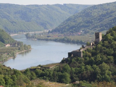 Holiday apartment Weindaxl - Familie Seitner - Environment photo 10