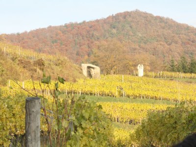 Holiday apartment Weindaxl - Familie Seitner - Environment photo 11