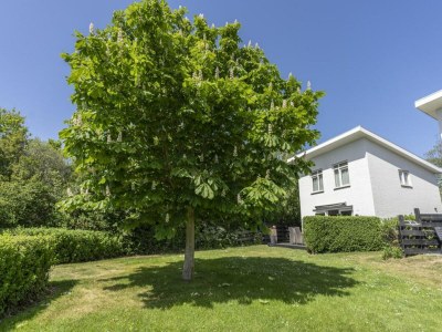 Holiday house Pretty home with garden - Outdoor photo 28