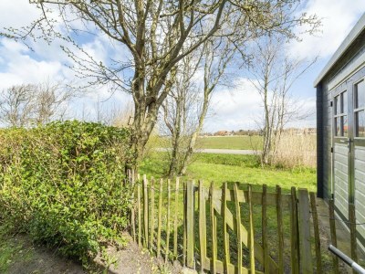 Bungalow Holiday home near dunes - Outdoor photo 29