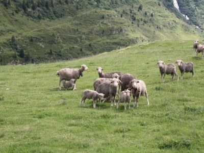 Apartment Les Chamois N°15 - 3P6 - Environment photo 26