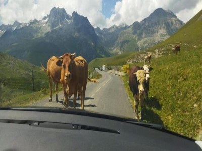 Apartment Les Marmottes N°42 - 3P6 - Environment photo 22